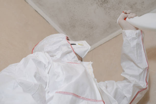 Best Residential Mold Removal  in Olga, FL